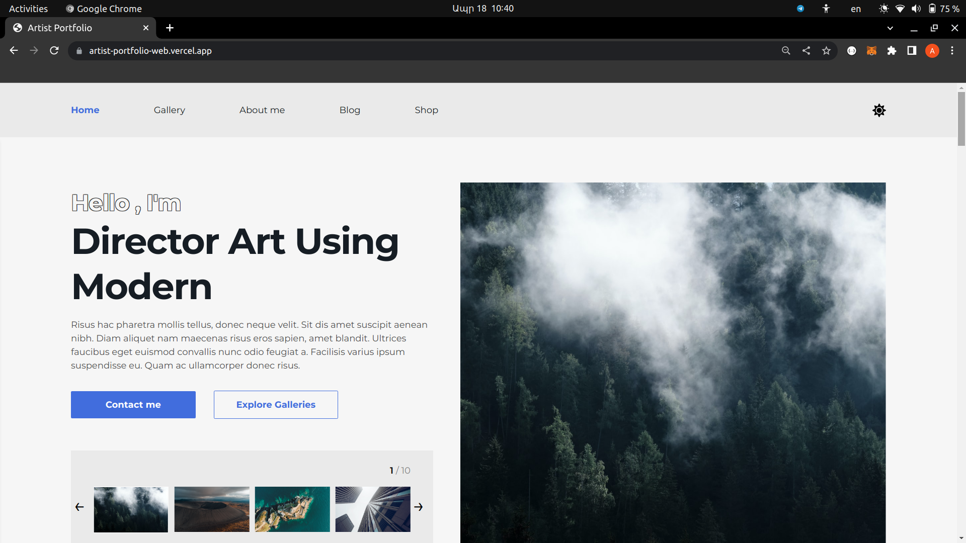 Adaptive landing page for artist with shop and blog pages